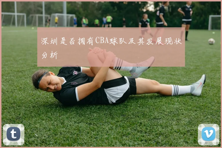 深圳是否拥有CBA球队及其发展现状分析