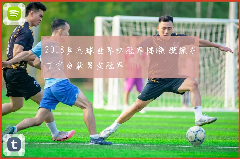 2018乒乓球世界杯冠军揭晓 樊振东丁宁分获男女冠军